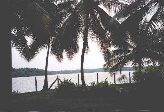 aqua07.jpg (28210 bytes)