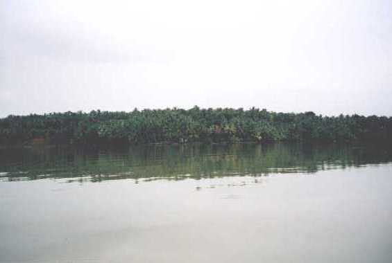 aqua08.jpg (10854 bytes)