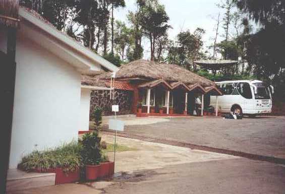 carmelia01.jpg (28475 bytes)