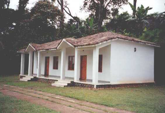 carmelia07.jpg (27590 bytes)