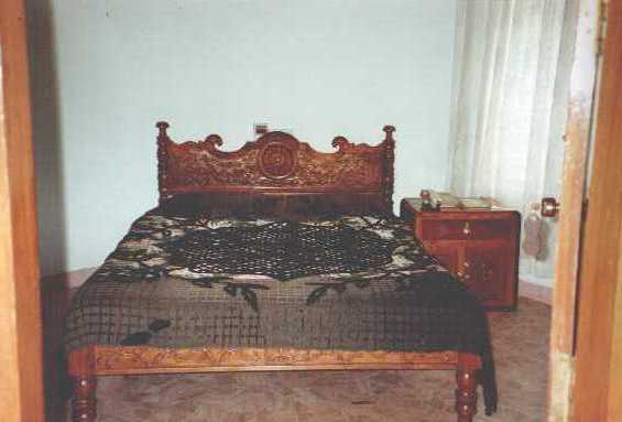 carmelia09.jpg (19926 bytes)