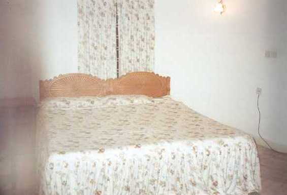 carmelia10.jpg (16592 bytes)