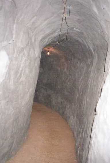 carmelia12.jpg (15581 bytes)