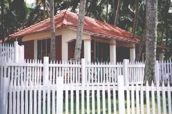 coconut01.jpg (37226 bytes)