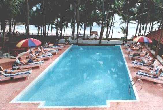 coconut03.jpg (30740 bytes)