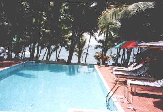 coconut04.jpg (27632 bytes)