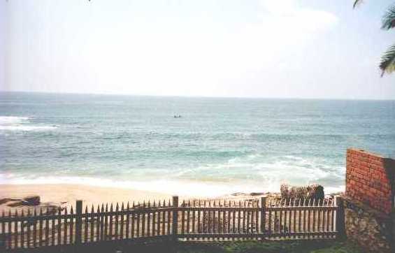 coconut05.jpg (19138 bytes)