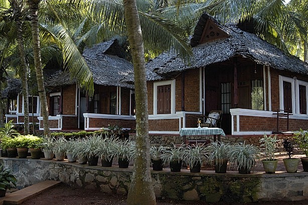 a.jpg (132820 bytes)