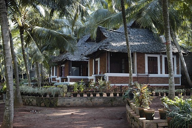 c.jpg (132576 bytes)