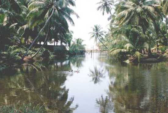 kadapuram03.jpg (29183 bytes)