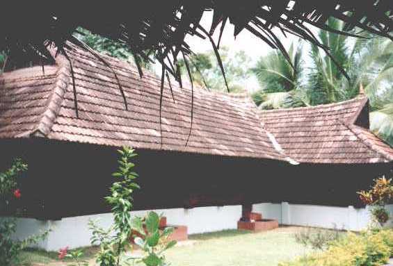 nikkis01.jpg (31897 bytes)