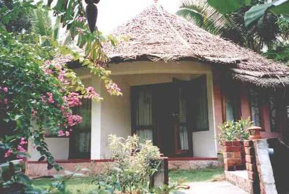 nikkis03.jpg (35417 bytes)