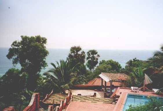 nikkis04.jpg (20966 bytes)