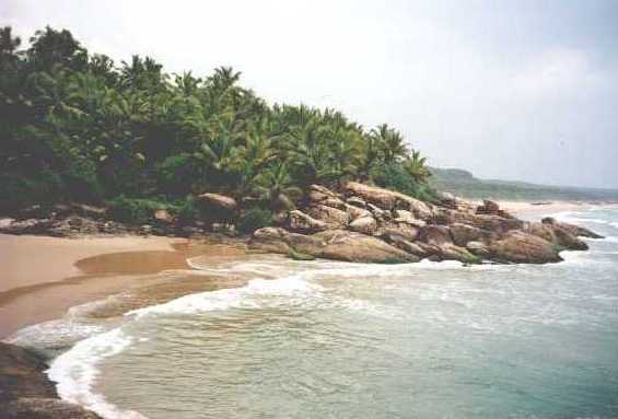 nikkis05.jpg (22804 bytes)