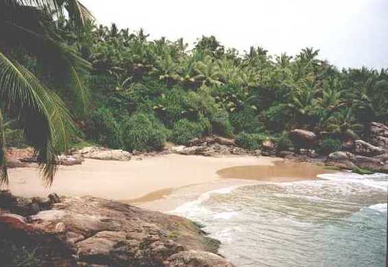 nikkis06.jpg (29058 bytes)