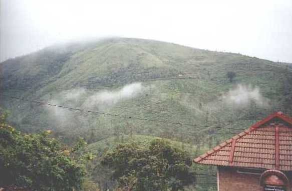 sahyadri01.jpg (20827 bytes)