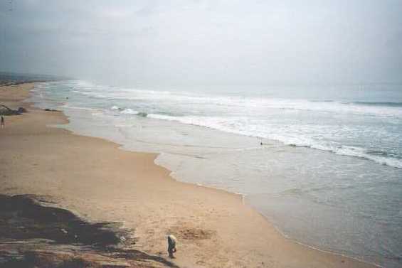 soma07.jpg (14408 bytes)